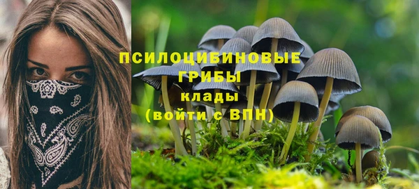 прущая мука Волоколамск