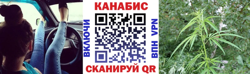 Купить закладки  Суровикино  Канабис конопля 